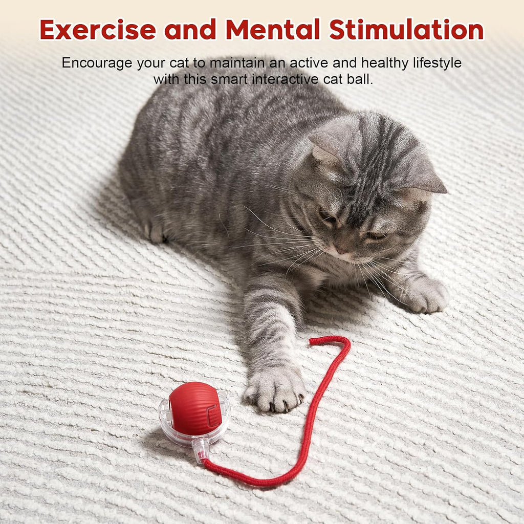 Interactive Dog & Cat Electric Active Toys, Smart Rolling Ball for Dogs & Cats, 360° Smart Automatic Rolling Pet Ball, Fast Moving Toy for Bored Indoor Kitty, Rechargeable(Red)