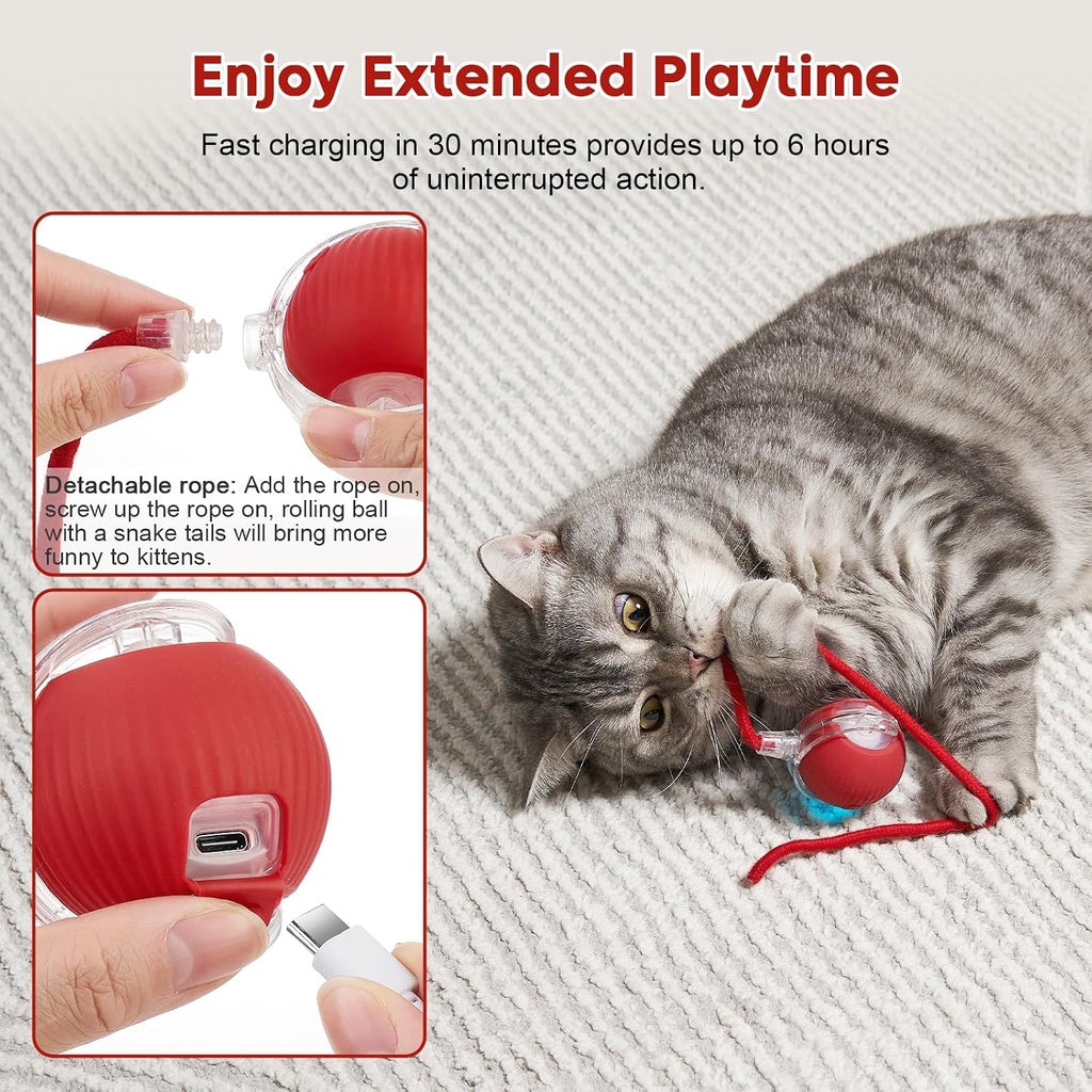 Interactive Dog & Cat Electric Active Toys, Smart Rolling Ball for Dogs & Cats, 360° Smart Automatic Rolling Pet Ball, Fast Moving Toy for Bored Indoor Kitty, Rechargeable(Red)